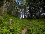 Baumgartnerhof - Ostra peč / Mallestiger Mittagskogel